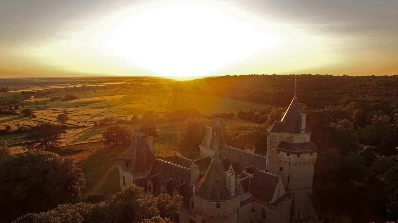 Ternay  Chateau De Ternay מראה חיצוני תמונה