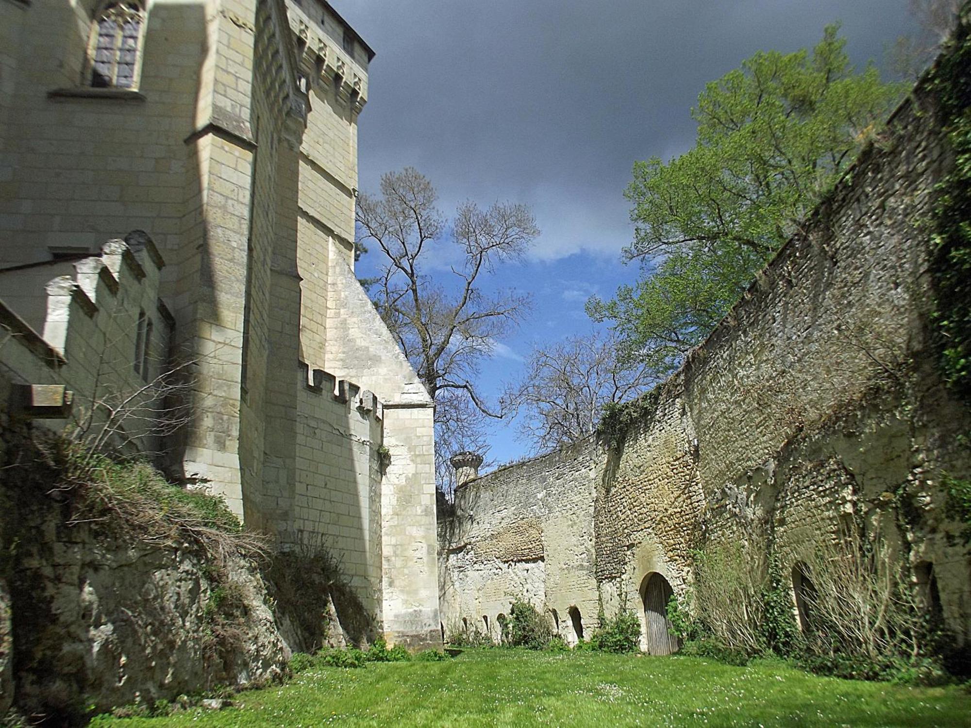 Ternay  Chateau De Ternay מראה חיצוני תמונה