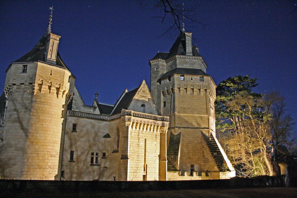 Ternay  Chateau De Ternay מראה חיצוני תמונה