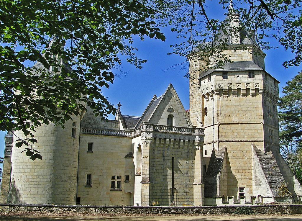 Ternay  Chateau De Ternay מראה חיצוני תמונה