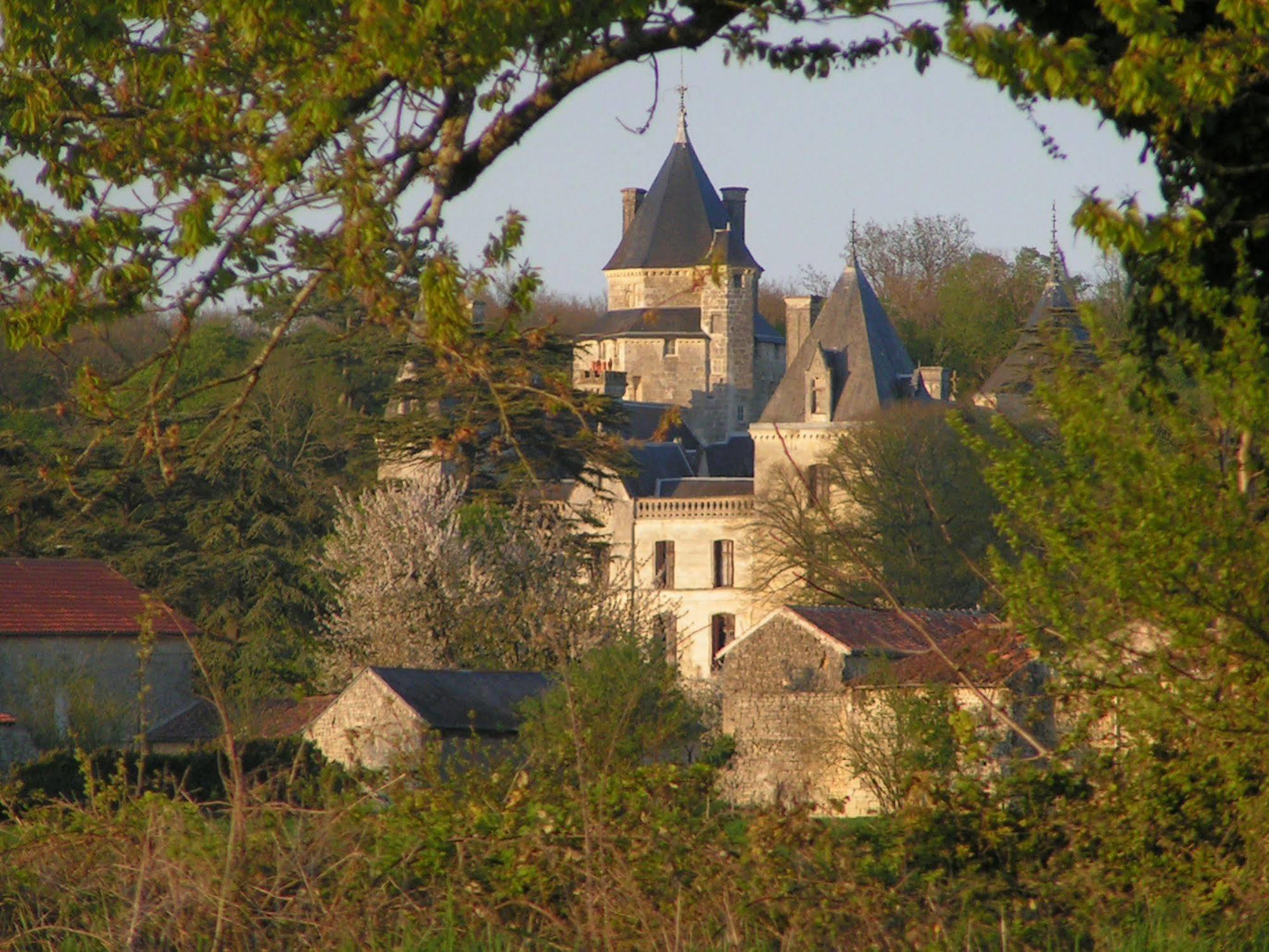 Ternay  Chateau De Ternay מראה חיצוני תמונה