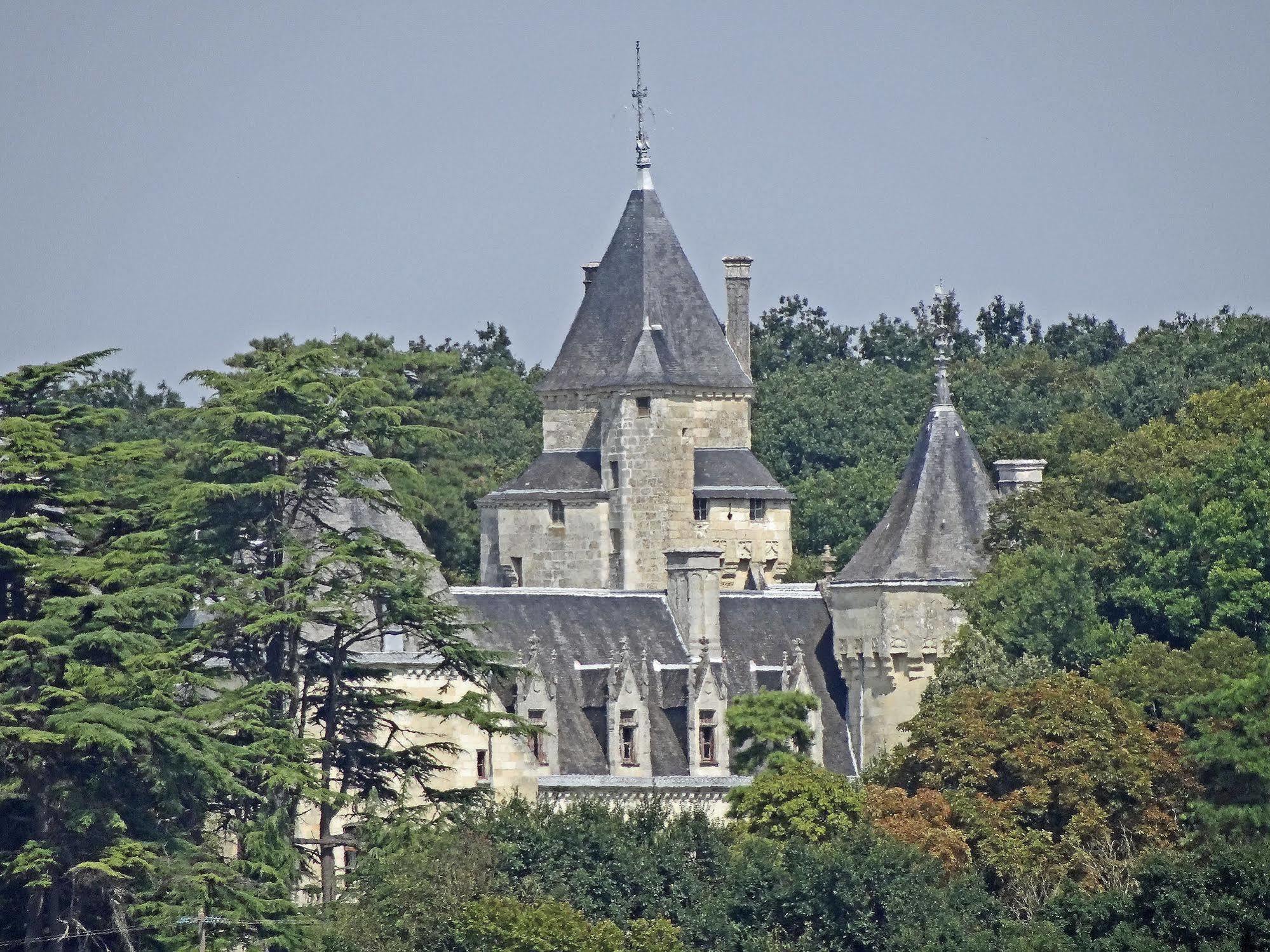 Ternay  Chateau De Ternay מראה חיצוני תמונה