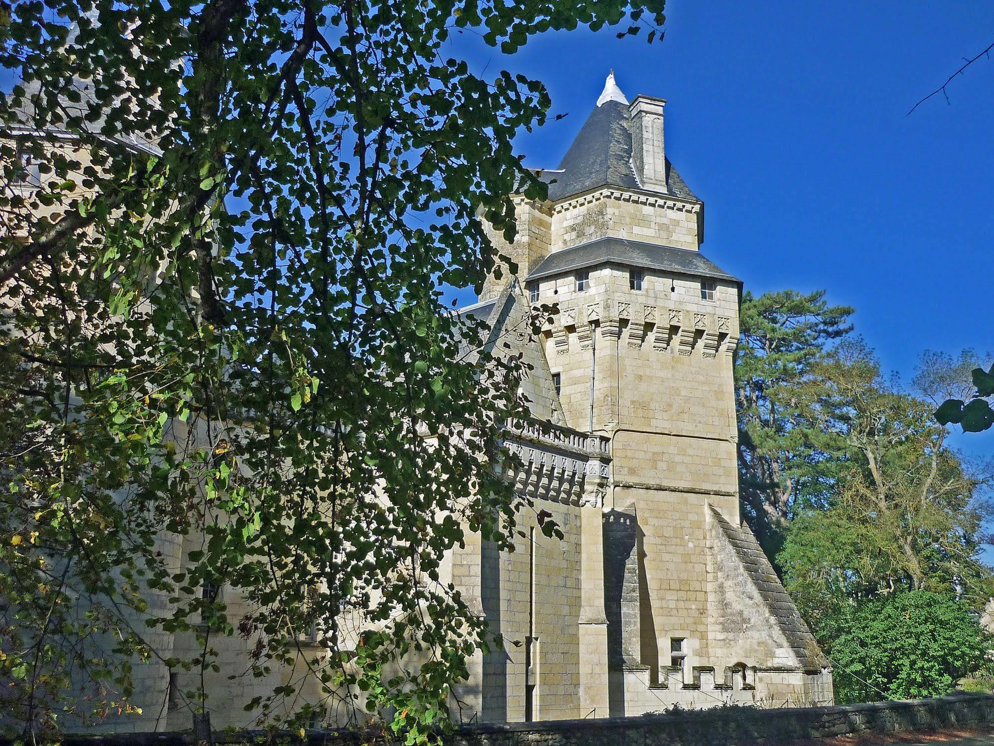 Ternay  Chateau De Ternay מראה חיצוני תמונה