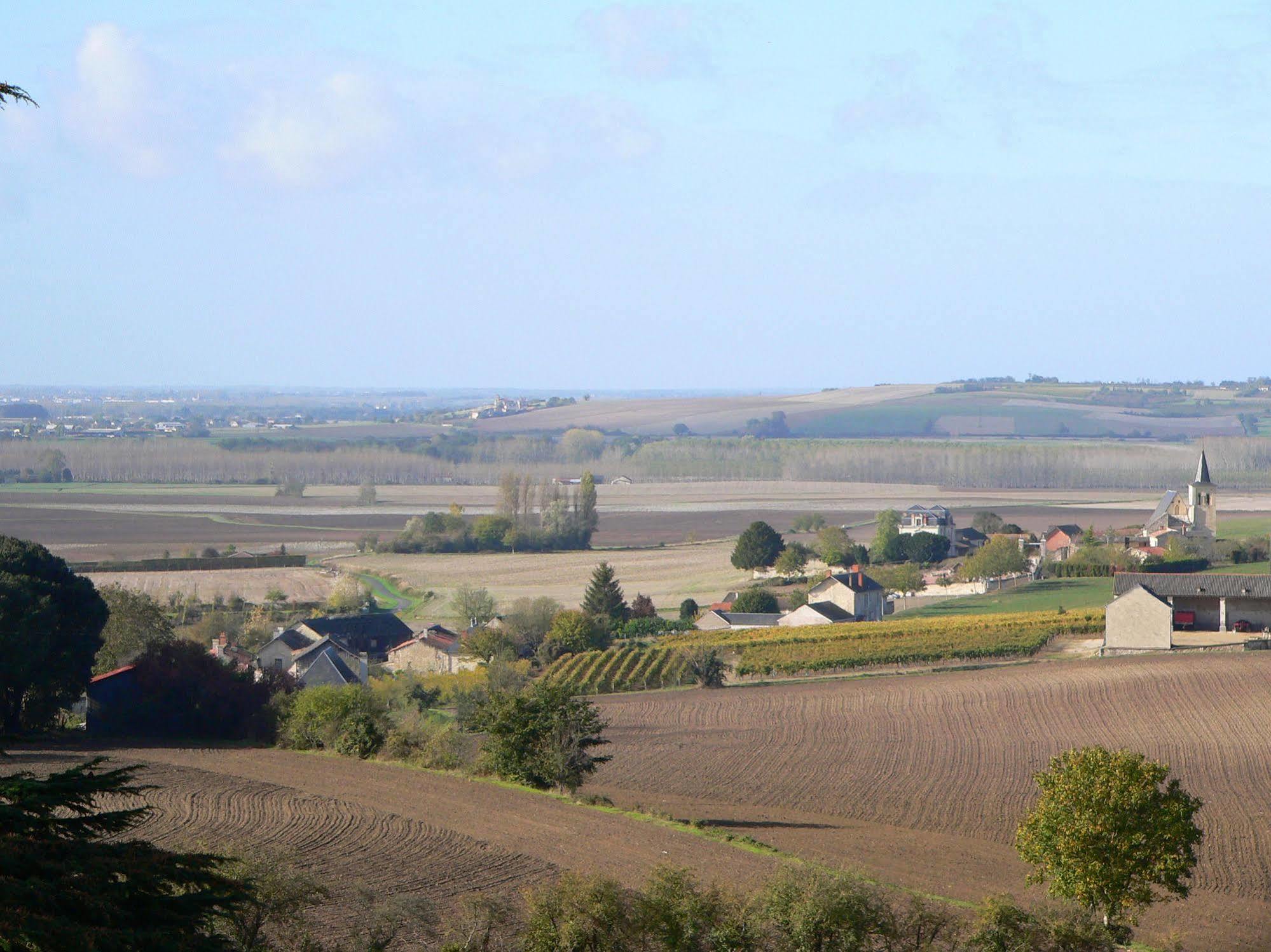 Ternay  Chateau De Ternay מראה חיצוני תמונה