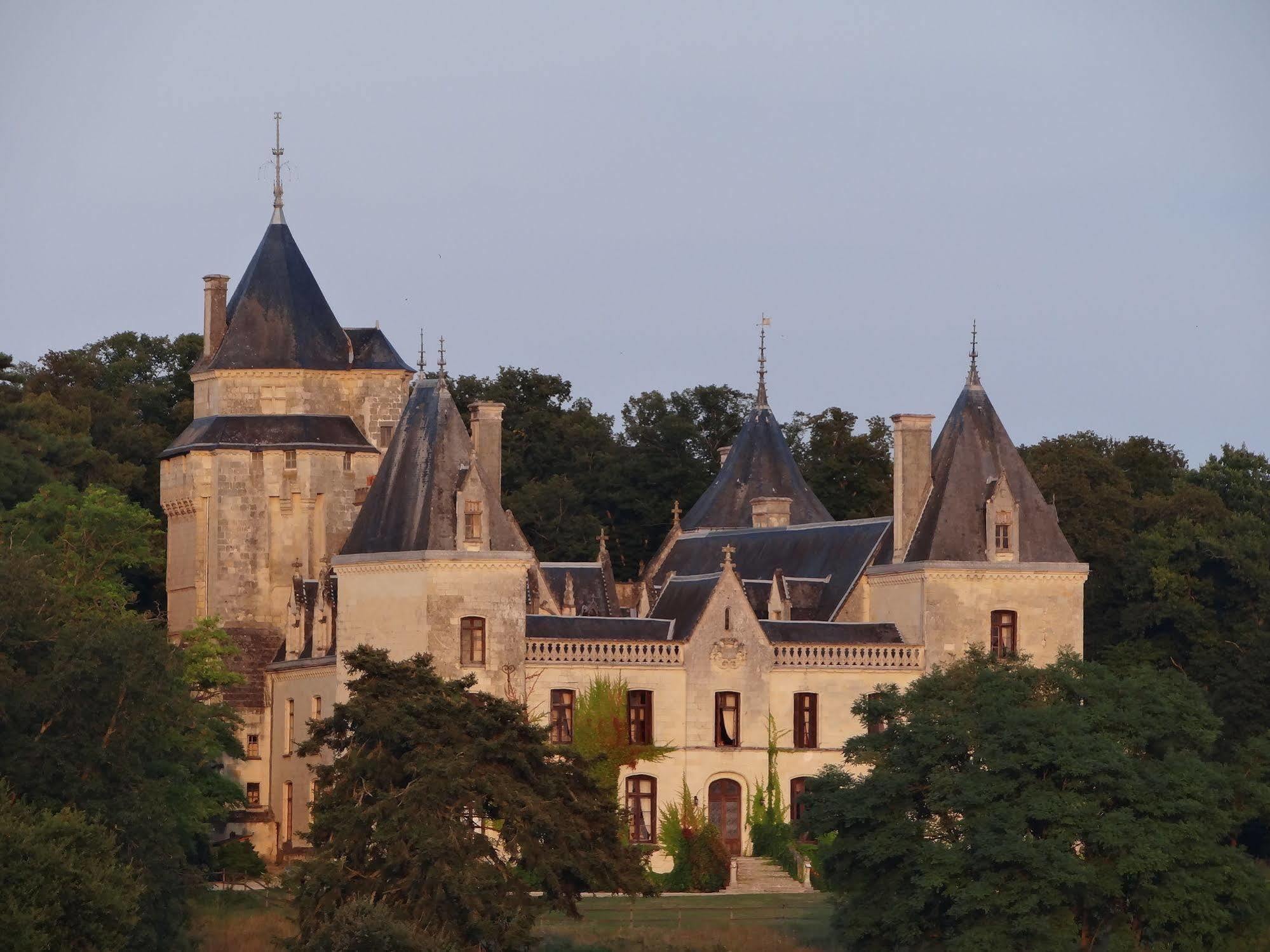 Ternay  Chateau De Ternay מראה חיצוני תמונה