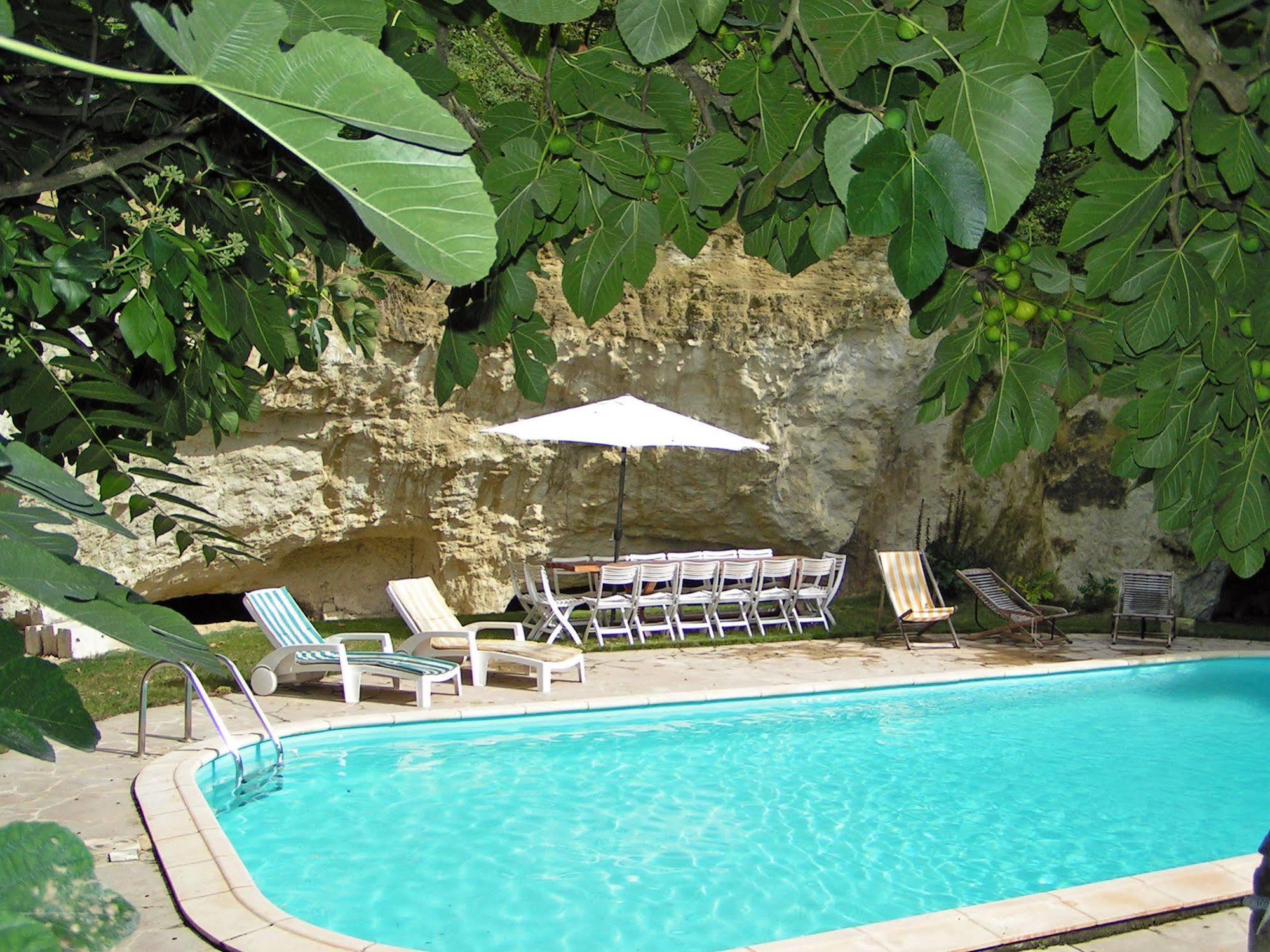 Ternay  Chateau De Ternay מראה חיצוני תמונה