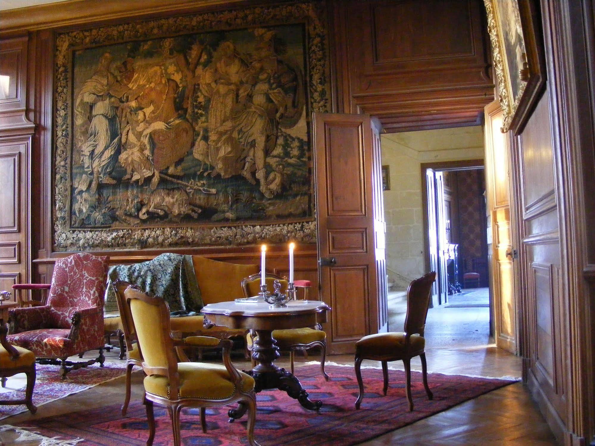 Ternay  Chateau De Ternay מראה חיצוני תמונה