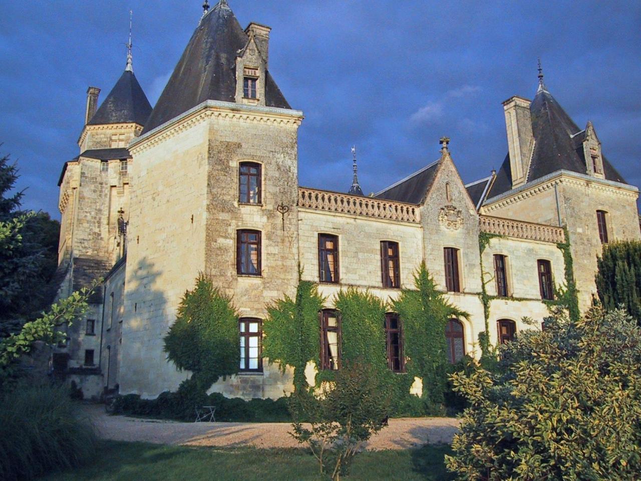 Ternay  Chateau De Ternay מראה חיצוני תמונה